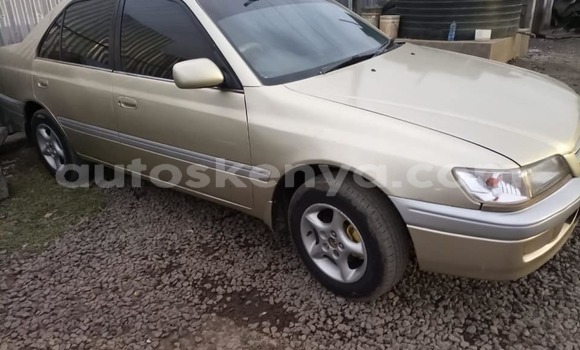 Nunua Ilio tumika Toyota Premio Beige Gari ndani ya Nairobi nchini Nairobi Nunua Ilio tumika Toyota Premio Beige Gari ndani ya Nairobi nchini Nairobi
