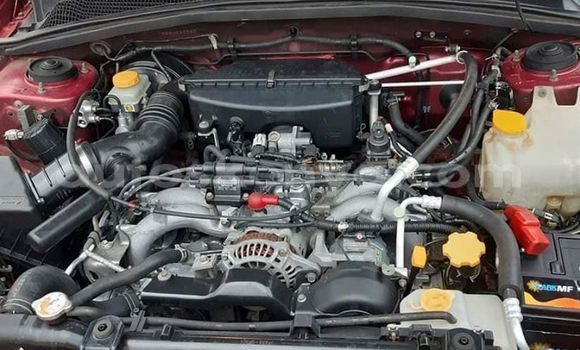 Oofamaa Subaru Forester Red Makiinaa iti Nairobi keessatti Nairobi keessatti Oofamaa Subaru Forester Red Makiinaa iti Nairobi keessatti Nairobi keessatti