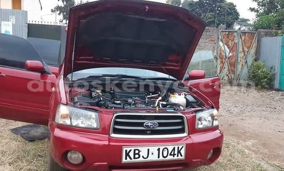 Oofamaa Subaru Forester Red Makiinaa iti Nairobi keessatti Nairobi keessatti Oofamaa Subaru Forester Red Makiinaa iti Nairobi keessatti Nairobi keessatti