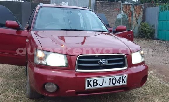 Oofamaa Subaru Forester Red Makiinaa iti Nairobi keessatti Nairobi keessatti Oofamaa Subaru Forester Red Makiinaa iti Nairobi keessatti Nairobi keessatti