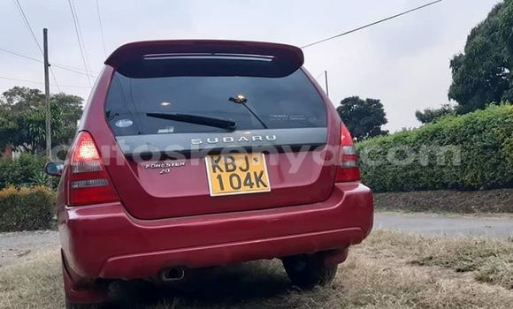 Oofamaa Subaru Forester Red Makiinaa iti Nairobi keessatti Nairobi keessatti Oofamaa Subaru Forester Red Makiinaa iti Nairobi keessatti Nairobi keessatti