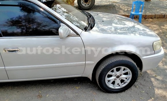 Buy Used Toyota Corolla Silver Car in Nairobi in Nairobi Buy Used Toyota Corolla Silver Car in Nairobi in Nairobi