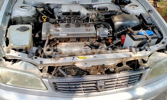 Buy Used Toyota Corolla Silver Car in Nairobi in Nairobi Buy Used Toyota Corolla Silver Car in Nairobi in Nairobi