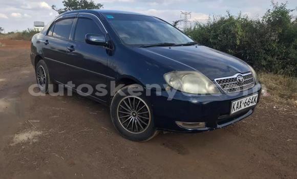 Nunua Ilio tumika Toyota Corolla Nyeusi Gari ndani ya Nairobi nchini Nairobi Nunua Ilio tumika Toyota Corolla Nyeusi Gari ndani ya Nairobi nchini Nairobi