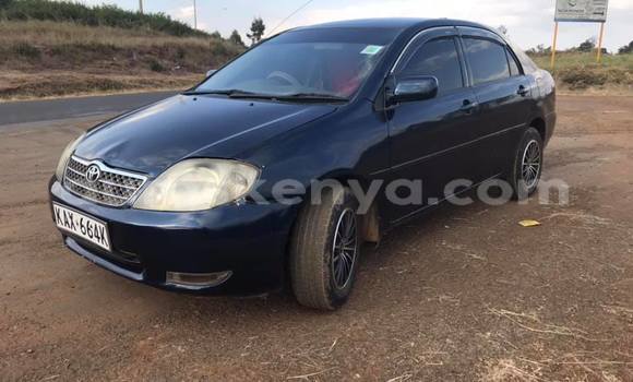 Nunua Ilio tumika Toyota Corolla Nyeusi Gari ndani ya Nairobi nchini Nairobi Nunua Ilio tumika Toyota Corolla Nyeusi Gari ndani ya Nairobi nchini Nairobi