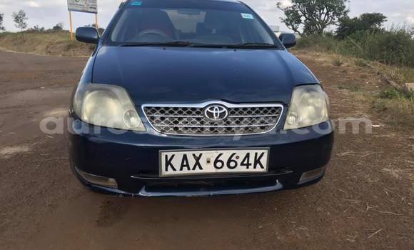 Oofamaa Toyota Corolla Black Makiinaa iti Nairobi keessatti Nairobi keessatti