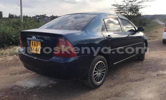 Nunua Ilio tumika Toyota Corolla Nyeusi Gari ndani ya Nairobi nchini Nairobi Nunua Ilio tumika Toyota Corolla Nyeusi Gari ndani ya Nairobi nchini Nairobi