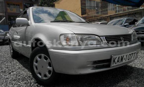 Oofamaa Toyota Corolla Silver Makiinaa iti Embu keessatti East Kenya keessatti Oofamaa Toyota Corolla Silver Makiinaa iti Embu keessatti East Kenya keessatti
