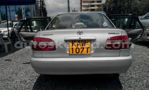 Oofamaa Toyota Corolla Silver Makiinaa iti Embu keessatti East Kenya keessatti Oofamaa Toyota Corolla Silver Makiinaa iti Embu keessatti East Kenya keessatti