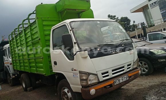Oofamaa Isuzu Elf Beige Netiree iti Garissa keessatti Northeast Kenya keessatti Oofamaa Isuzu Elf Beige Netiree iti Garissa keessatti Northeast Kenya keessatti