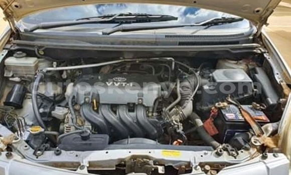 Oofamaa Toyota Spacio Silver Makiinaa iti Isiolo keessatti East Kenya keessatti Oofamaa Toyota Spacio Silver Makiinaa iti Isiolo keessatti East Kenya keessatti