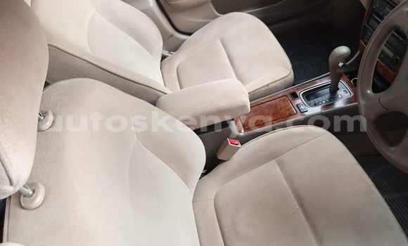 Nunua Ilio tumika Nissan Bluebird Sylphy Fedha Gari ndani ya Nairobi nchini Nairobi Nunua Ilio tumika Nissan Bluebird Sylphy Fedha Gari ndani ya Nairobi nchini Nairobi