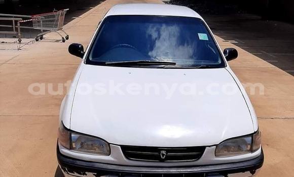 Buy Used Toyota Corolla White Car in Nairobi in Nairobi