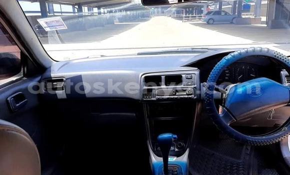 Nunua Ilio tumika Toyota Corolla Nyeupe Gari ndani ya Nairobi nchini Nairobi Nunua Ilio tumika Toyota Corolla Nyeupe Gari ndani ya Nairobi nchini Nairobi