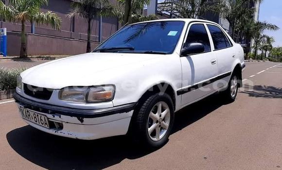 Nunua Ilio tumika Toyota Corolla Nyeupe Gari ndani ya Nairobi nchini Nairobi Nunua Ilio tumika Toyota Corolla Nyeupe Gari ndani ya Nairobi nchini Nairobi