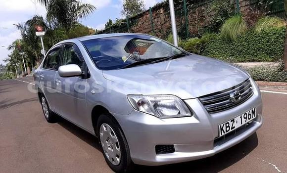 Buy Used Toyota Axio Silver Car in Nairobi in Nairobi
