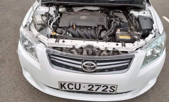 Nunua Ilio tumika Toyota Axio Nyeupe Gari ndani ya Nairobi nchini Nairobi Nunua Ilio tumika Toyota Axio Nyeupe Gari ndani ya Nairobi nchini Nairobi