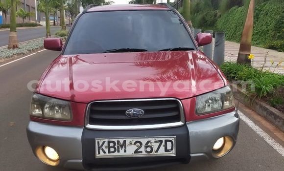 Nunua Ilio tumika Subaru Forester Nyekundu Gari ndani ya Nairobi nchini Nairobi Nunua Ilio tumika Subaru Forester Nyekundu Gari ndani ya Nairobi nchini Nairobi
