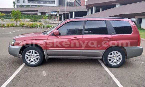 Oofamaa Subaru Forester Red Makiinaa iti Nairobi keessatti Nairobi keessatti Oofamaa Subaru Forester Red Makiinaa iti Nairobi keessatti Nairobi keessatti