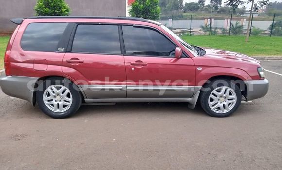 Nunua Ilio tumika Subaru Forester Nyekundu Gari ndani ya Nairobi nchini Nairobi Nunua Ilio tumika Subaru Forester Nyekundu Gari ndani ya Nairobi nchini Nairobi