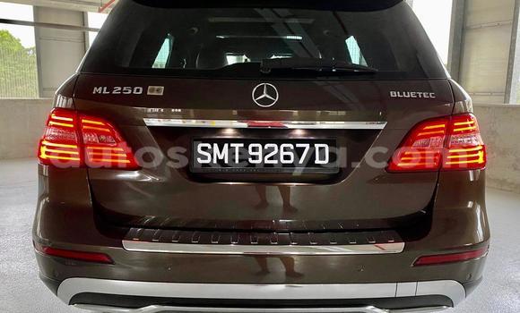 Oofamaa Mercedes‒Benz ML–Class Brown Makiinaa iti Nairobi keessatti Nairobi keessatti Oofamaa Mercedes‒Benz ML–Class Brown Makiinaa iti Nairobi keessatti Nairobi keessatti
