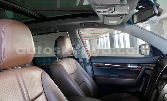 Oofamaa Kia Sorento Red Makiinaa iti Nairobi keessatti Nairobi keessatti Oofamaa Kia Sorento Red Makiinaa iti Nairobi keessatti Nairobi keessatti