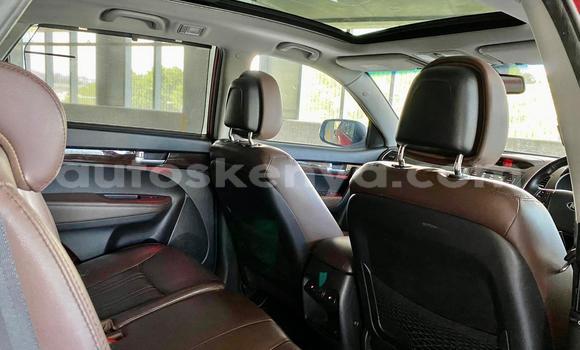 Oofamaa Kia Sorento Red Makiinaa iti Nairobi keessatti Nairobi keessatti Oofamaa Kia Sorento Red Makiinaa iti Nairobi keessatti Nairobi keessatti