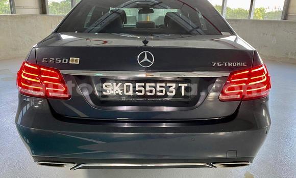Oofamaa Mercedes‒Benz E–Class Other Makiinaa iti Nairobi keessatti Nairobi keessatti Oofamaa Mercedes‒Benz E–Class Other Makiinaa iti Nairobi keessatti Nairobi keessatti