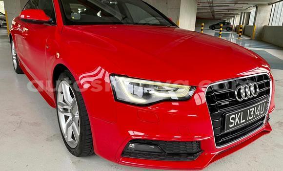 Oofamaa Audi A5 Red Makiinaa iti Nairobi keessatti Nairobi keessatti Oofamaa Audi A5 Red Makiinaa iti Nairobi keessatti Nairobi keessatti