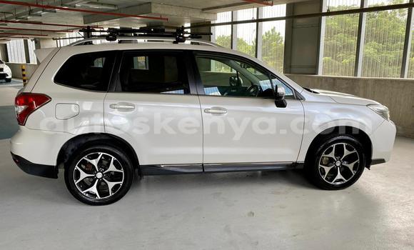Oofamaa Subaru Forester White Makiinaa iti Nairobi keessatti Nairobi keessatti Oofamaa Subaru Forester White Makiinaa iti Nairobi keessatti Nairobi keessatti