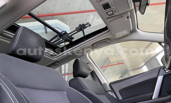 Oofamaa Subaru Forester White Makiinaa iti Nairobi keessatti Nairobi keessatti Oofamaa Subaru Forester White Makiinaa iti Nairobi keessatti Nairobi keessatti