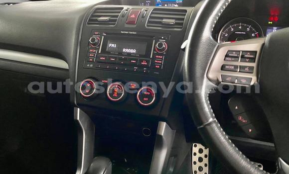 Oofamaa Subaru Forester White Makiinaa iti Nairobi keessatti Nairobi keessatti Oofamaa Subaru Forester White Makiinaa iti Nairobi keessatti Nairobi keessatti