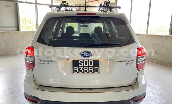 Oofamaa Subaru Forester White Makiinaa iti Nairobi keessatti Nairobi keessatti Oofamaa Subaru Forester White Makiinaa iti Nairobi keessatti Nairobi keessatti