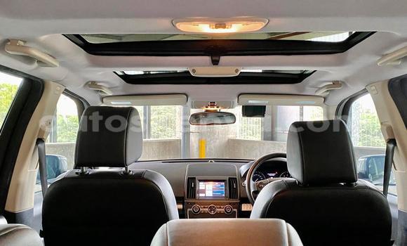 Oofamaa Land Rover Freelander Silver Makiinaa iti Nairobi keessatti Nairobi keessatti Oofamaa Land Rover Freelander Silver Makiinaa iti Nairobi keessatti Nairobi keessatti