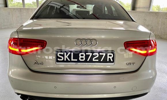Oofamaa Audi A4 Silver Makiinaa iti Nairobi keessatti Nairobi keessatti Oofamaa Audi A4 Silver Makiinaa iti Nairobi keessatti Nairobi keessatti
