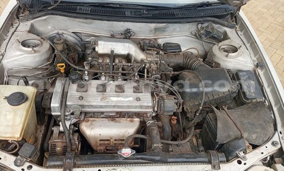 Buy Used Toyota Corolla Silver Car in Chuka in East Kenya Buy Used Toyota Corolla Silver Car in Chuka in East Kenya