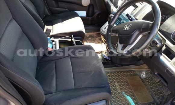 Nunua Ilio tumika Honda CR–V Fedha Gari ndani ya Nairobi nchini Nairobi Nunua Ilio tumika Honda CR–V Fedha Gari ndani ya Nairobi nchini Nairobi