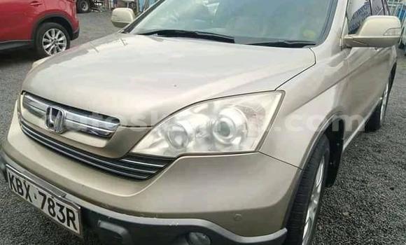 Buy Used Honda CR–V Beige Car in Nairobi in Nairobi Buy Used Honda CR–V Beige Car in Nairobi in Nairobi