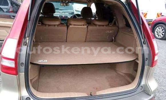 Nunua Ilio tumika Honda CR–V Beige Gari ndani ya Nairobi nchini Nairobi Nunua Ilio tumika Honda CR–V Beige Gari ndani ya Nairobi nchini Nairobi