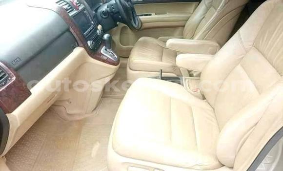 Nunua Ilio tumika Honda CR–V Beige Gari ndani ya Nairobi nchini Nairobi Nunua Ilio tumika Honda CR–V Beige Gari ndani ya Nairobi nchini Nairobi