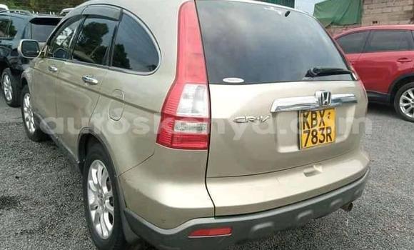 Nunua Ilio tumika Honda CR–V Beige Gari ndani ya Nairobi nchini Nairobi Nunua Ilio tumika Honda CR–V Beige Gari ndani ya Nairobi nchini Nairobi