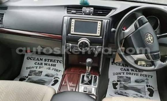 Nunua Ilio tumika Toyota Mark X Fedha Gari ndani ya Nairobi nchini Nairobi Nunua Ilio tumika Toyota Mark X Fedha Gari ndani ya Nairobi nchini Nairobi