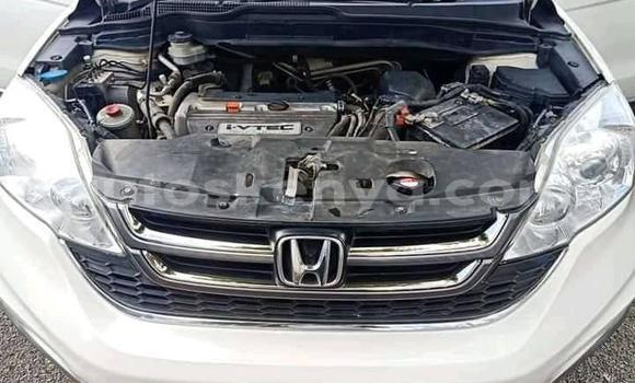 Nunua Ilio tumika Honda CR–V Nyeupe Gari ndani ya Nairobi nchini Nairobi Nunua Ilio tumika Honda CR–V Nyeupe Gari ndani ya Nairobi nchini Nairobi