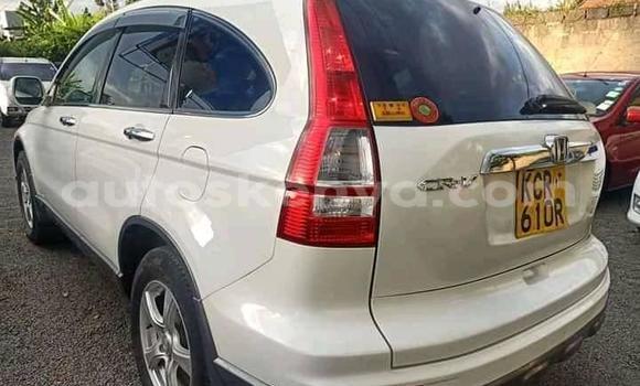 Nunua Ilio tumika Honda CR–V Nyeupe Gari ndani ya Nairobi nchini Nairobi Nunua Ilio tumika Honda CR–V Nyeupe Gari ndani ya Nairobi nchini Nairobi