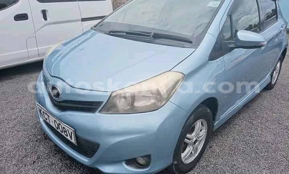 Buy Used Toyota Vitz Blue Car in Nairobi in Nairobi