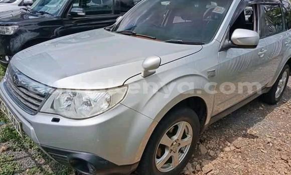 Buy Used Subaru Forester Silver Car in Nairobi in Nairobi Buy Used Subaru Forester Silver Car in Nairobi in Nairobi