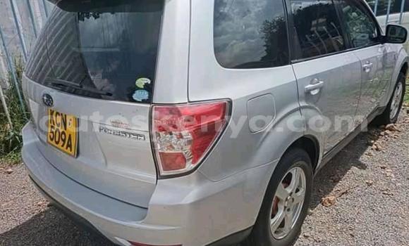 Buy Used Subaru Forester Silver Car in Nairobi in Nairobi Buy Used Subaru Forester Silver Car in Nairobi in Nairobi