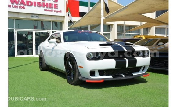 Nunua Imported Dodge Challenger Nyeupe Gari ndani ya Import - Dubai nchini Kati Kenya Nunua Imported Dodge Challenger Nyeupe Gari ndani ya Import - Dubai nchini Kati Kenya