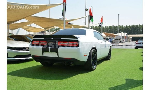 Nunua Imported Dodge Challenger Nyeupe Gari ndani ya Import - Dubai nchini Kati Kenya Nunua Imported Dodge Challenger Nyeupe Gari ndani ya Import - Dubai nchini Kati Kenya