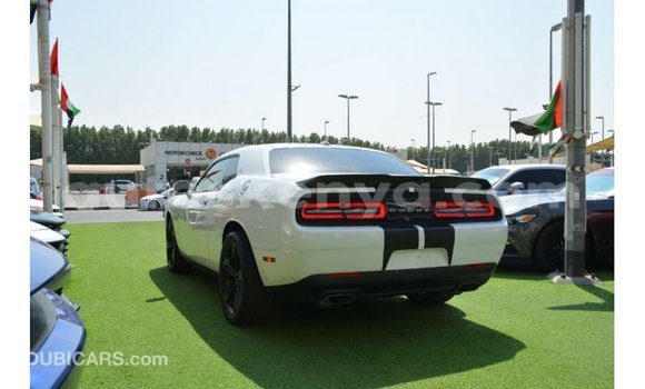 Nunua Imported Dodge Challenger Nyeupe Gari ndani ya Import - Dubai nchini Kati Kenya Nunua Imported Dodge Challenger Nyeupe Gari ndani ya Import - Dubai nchini Kati Kenya